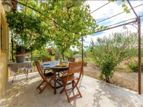 Detached home near the truffle capital of Aups with shared pool